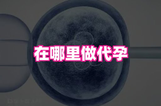 武汉助孕网站 2