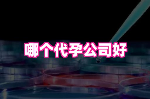 武汉助孕网站 3